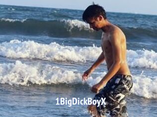 1BigDickBoyX