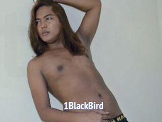 1BlackBird