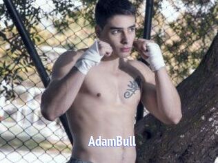 AdamBull