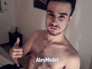 AleyModel