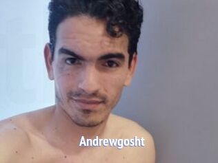 Andrewgosht