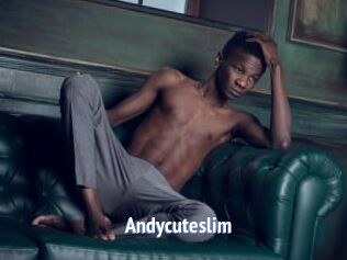 Andycuteslim