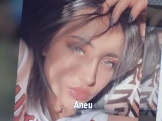 Aneu