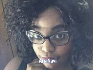 AriaNavi