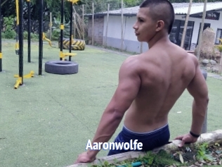 Aaronwolfe
