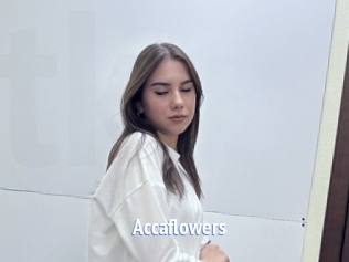 Accaflowers