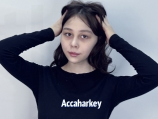 Accaharkey