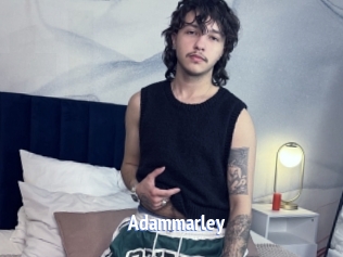 Adammarley