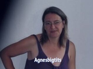 Agnesbigtits