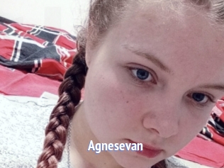Agnesevan