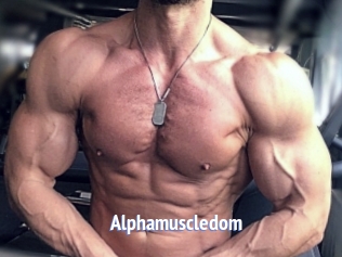 alphamuscledom Telefon Kontakte
