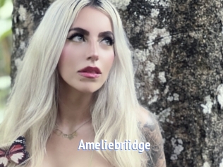 Ameliebriidge