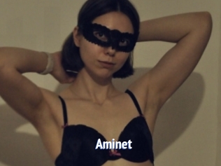 Aminet
