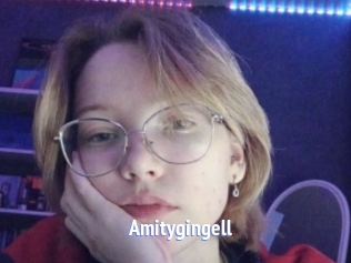 Amitygingell