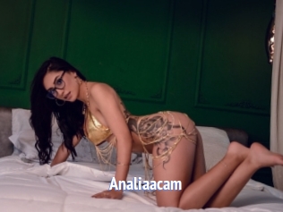 Analiaacam