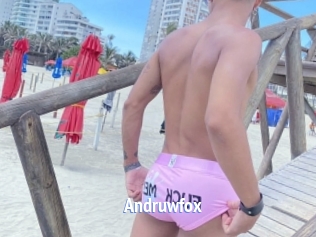andruwfox Telefon Kontakte