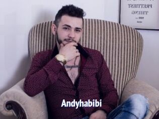 Andyhabibi