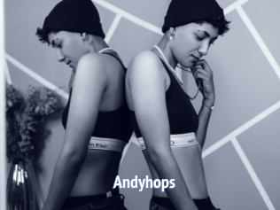 Andyhops