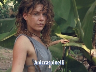 Aniccaspinelli