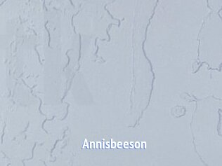 Annisbeeson