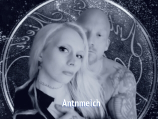Antnmeich