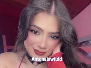Antonelawildd