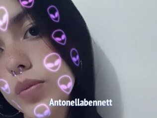 Antonellabennett