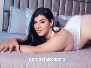 Antonellacoopers