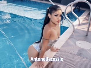antonellacossio Telefon Kontakte