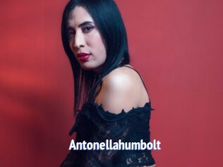 Antonellahumbolt