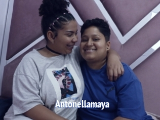 Antonellamaya