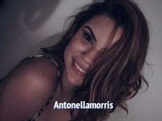 Antonellamorris