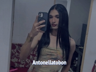 Antonellatobon