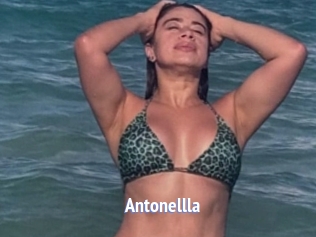 Antonellla