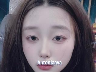 Antoniaava
