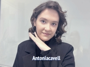 Antoniacavell