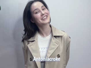 Antoniacroke