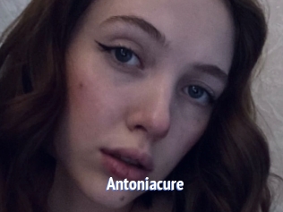 Antoniacure