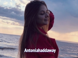Antoniahaddaway