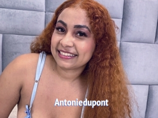 Antoniedupont