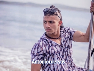 Antoniocuervos