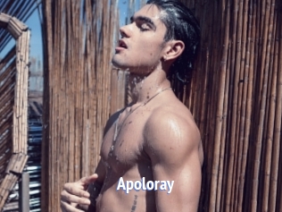 apoloray Telefon Kontakte