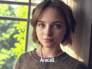 aracall Telefon Kontakte