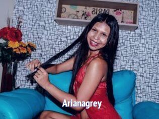 Arianagrey