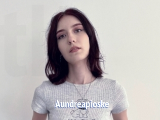 Aundreapioske