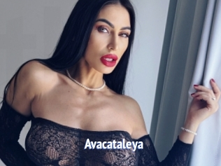 Avacataleya