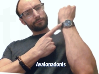 Avalonadonis