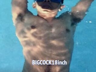 BIGCOCK18inch