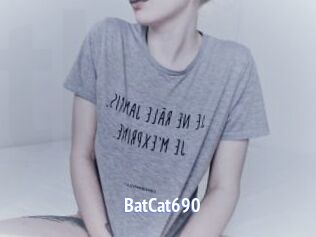 BatCat690