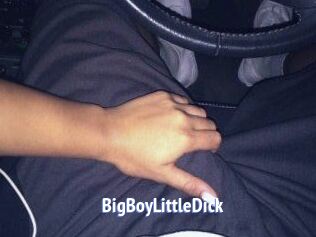 BigBoyLittleDick